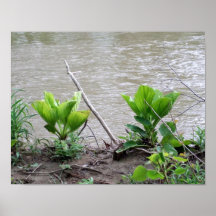 down by the riverside poster
