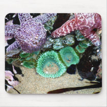 Down by the sea mouse pad
