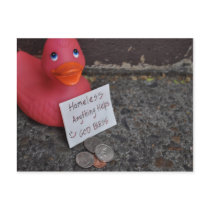 Down in the Ducks