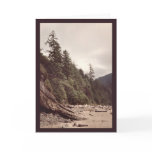 Down the Beach to the Cliff Cards