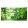 Down the Forest Path Custom Photo Card