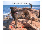 Down With BSL t-shirts