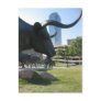 Downtown Dallas, Texas Post Card