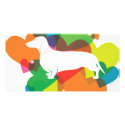 Doxie Colourful Heart Design photo cards