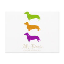 Doxie Joy  |  Dachshund