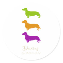 Doxie Joy  |  Dachshund