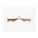 doxie love postcards