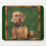 Doxies in the mousepad!