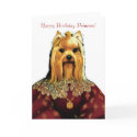 DR055 Yorkshire Terrier, Happy Birthday Princess! cards