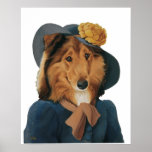 DR150 Scottish Sheepdog Collie poster