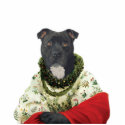DR198 Staffordshire Bull Terrier female sculpture photo sculptures