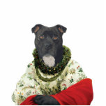 DR198 Staffordshire Bull Terrier female sculpture photo sculptures