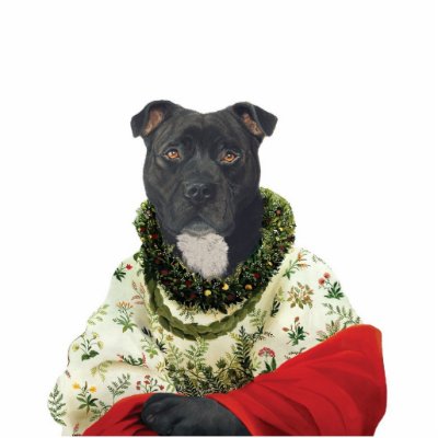 DR198 Staffordshire Bull Terrier female sculpture Photo Sculpture by hmitaly