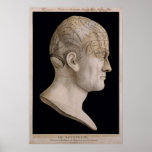 Dr. Spurzheim's phrenology chart posters
