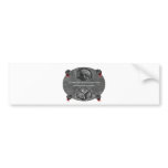 Dr.Stein bumper stickers