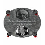 Dr.Stein t-shirts