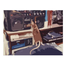 Drac And The Stereo Post Card