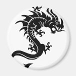Drache, Dragon Magnets