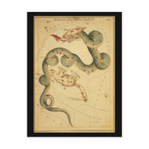 Draco and Ursa Minor