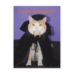 Dracula Bubba postcards