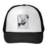 dracula mesh hats