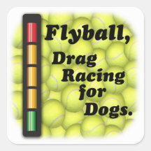 Drag Racing for Dogs Square Sticker