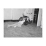 dragged behind postcards