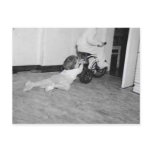 dragged behind postcards