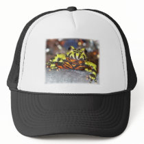 Drago the Fire Belly Toad Trucker Hat
