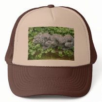Dragon Ball Cap Trucker Hats