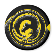 Dragon Circle magnets