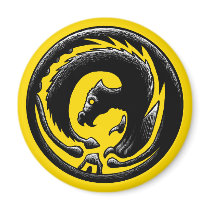 Dragon Circle magnets