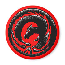 Dragon Circle magnets