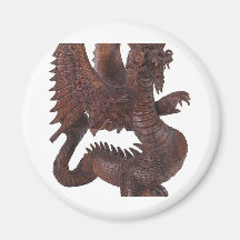 Dragon Clothing 12 Refrigerator Magnets