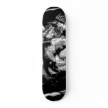DRAGON - Customised