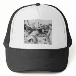 Dragon Eyes hat customisable