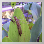 Dragon Fly Movin' On posters