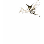 Dragon Fly t-shirts