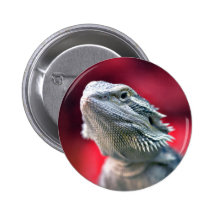 Dragon Head Button