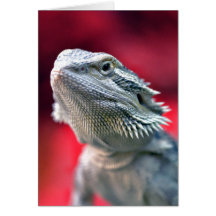 Dragon Head Note Card
