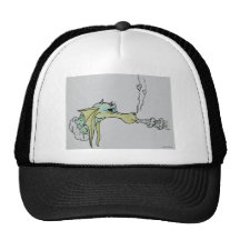 dragon kisses mesh hats