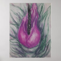 Dragon Lily
