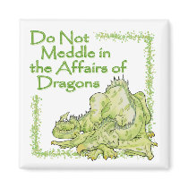 DRAGON FRIDGE MAGNETS