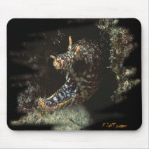 Dragon Moray Mousepad