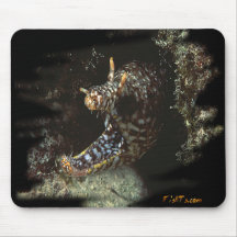 Dragon Moray Mousepad