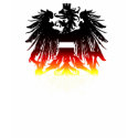 Dragon Phoenix II t-shirts