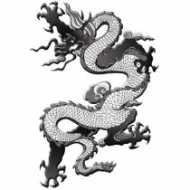 Dragon Photo Sculpture