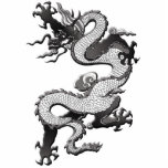 Dragon Photo Sculpture photo sculptures