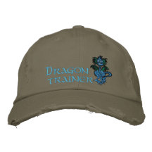 Dragon trainer baseball cap