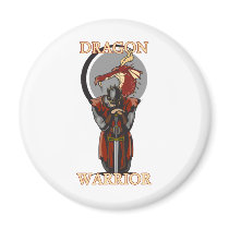 Dragon Warror magnets